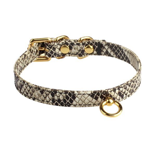 Adjustable Snake Print Cattle Hide Collar – Stylish and Durable with Gold Accents - Image 4