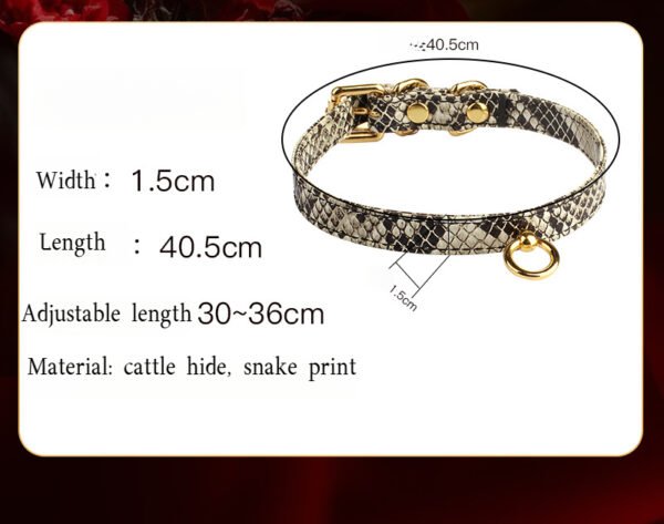 Adjustable Snake Print Cattle Hide Collar – Stylish and Durable with Gold Accents - Image 7